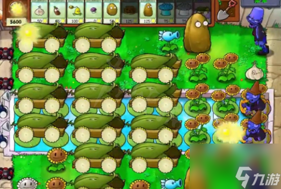 植物大战僵尸开局打法2