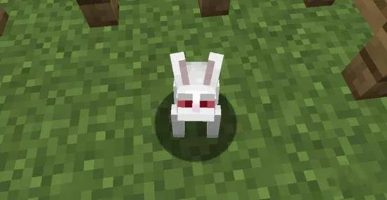 我的世界杀手兔的指令是什么2