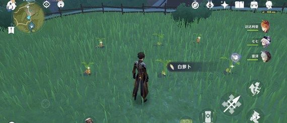 原神带有红色的采集物位置大全5