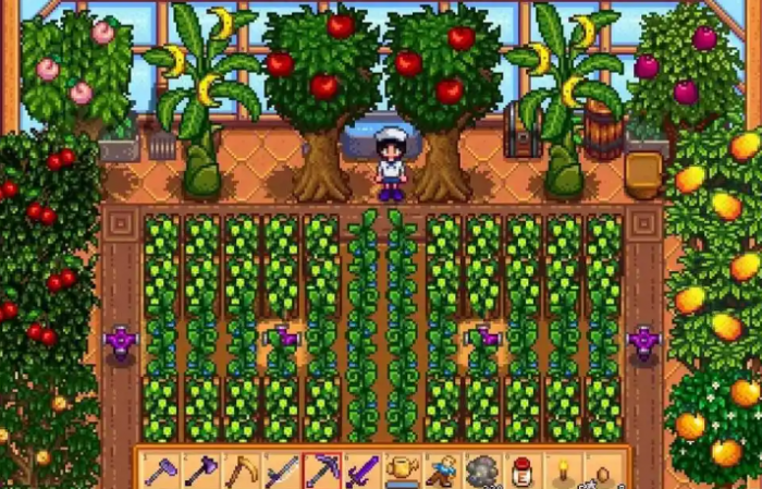 星露谷物语种下的种子怎么铲掉2