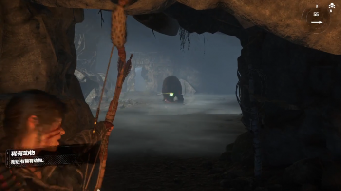 古墓丽影崛起怎么射毒箭2