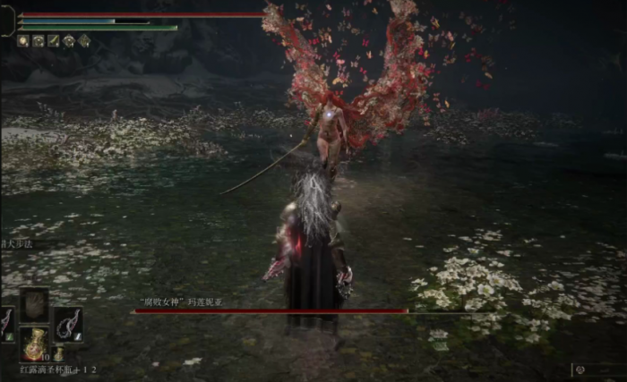 艾尔登法环鞭子有什么推荐2