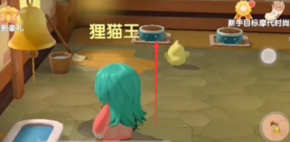 摩尔庄园在外面的鸡怎么喂3