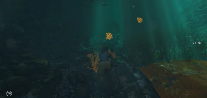 古墓丽影暗影迷宫攻略怎么玩2