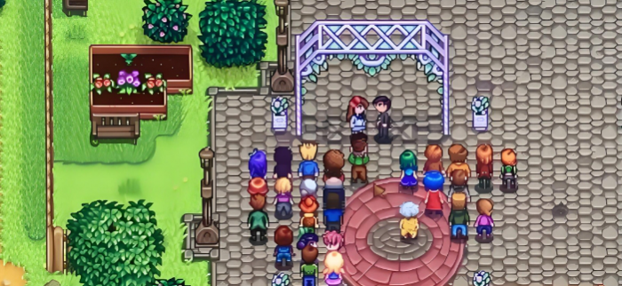 星露谷物语如何结婚3