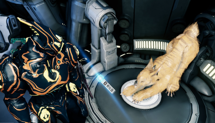 星际战甲库狛蛋怎么孵化3