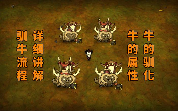 在饥荒手机版中怎样才能成功建造自己想要的房子3