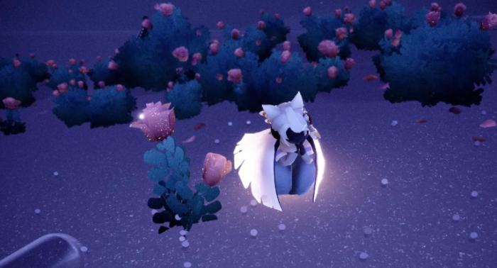 光遇里的花有什么用1