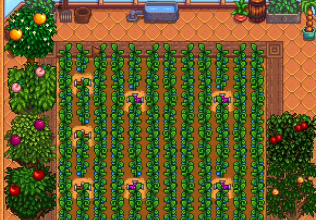 星露谷物语果树收益高吗1