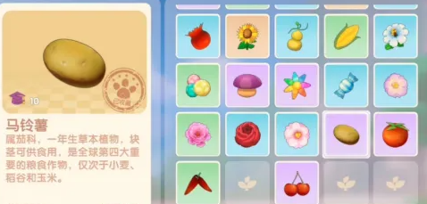摩尔庄园手游马铃薯怎么获得1