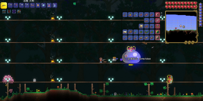 泰拉瑞亚如何有宠物2