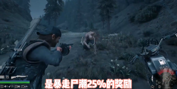 往日不再霰弹枪哪个好2