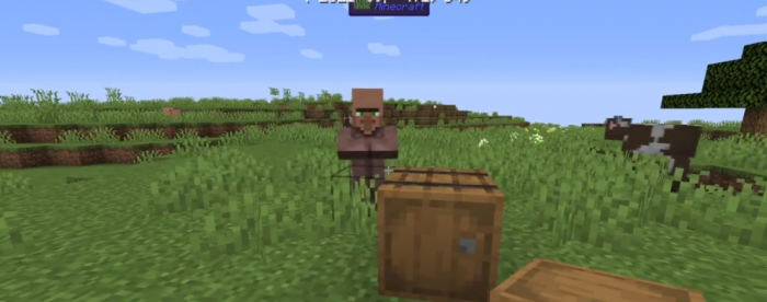 我的世界如何吸引村民1