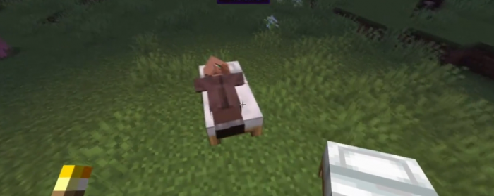 我的世界如何吸引村民2