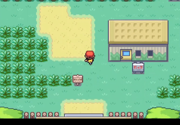 口袋妖怪火红在哪练级最快1