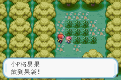 口袋妖怪火红红莲岛钥匙怎么得2