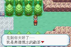 口袋妖怪火红红莲岛钥匙怎么得3