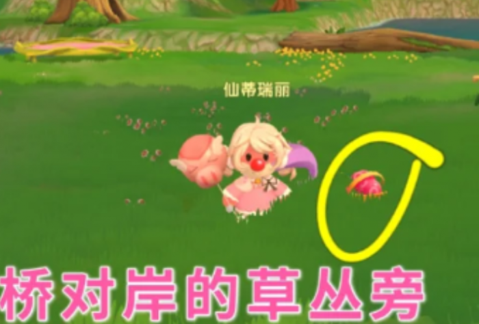 摩尔庄园里红色浆果怎么找1