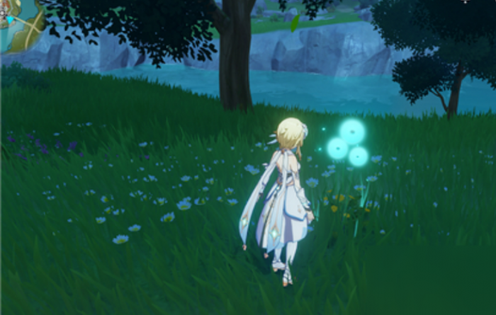 原神蒲公英种子怎么种3