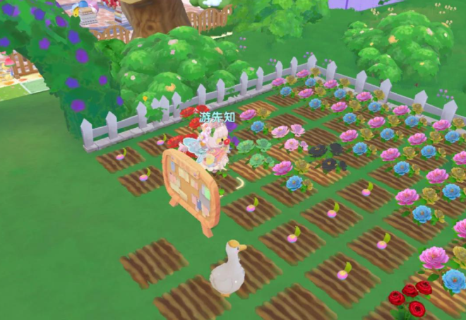 摩尔庄园怎么实现种子自由2