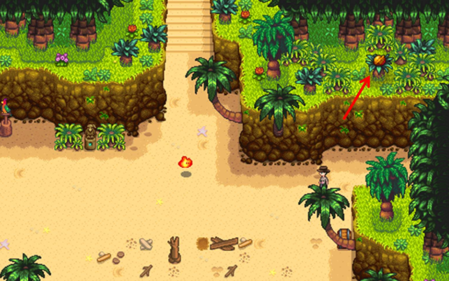 星露谷物语姜岛怎么去3