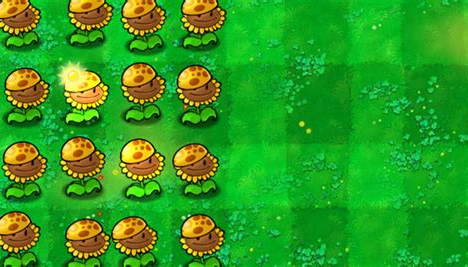 植物大战僵尸新手怎么玩1