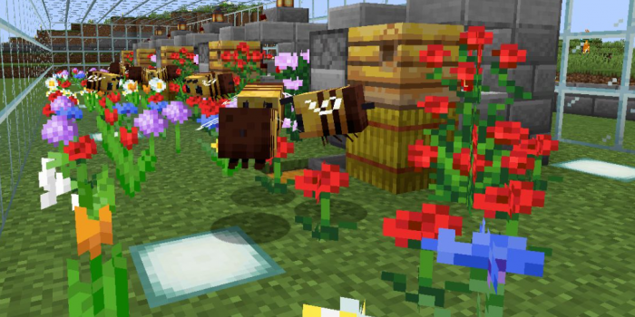 我的世界怎么弄到蜂蜜3