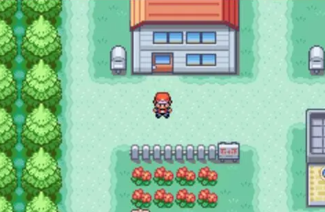 口袋妖怪火红隐藏道具怎么拿3