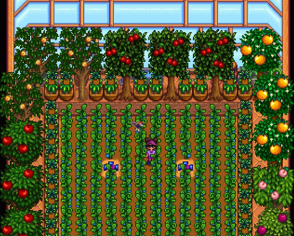 星露谷物语花盆有啥用3