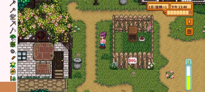 星露谷物语夜市美人鱼珍珠怎么拿1