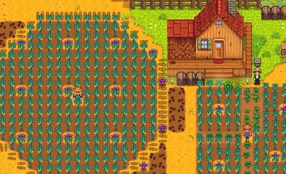 星露谷物语海莉如何攻略3