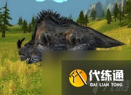 阿兰其亚在_阿兰其亚路线图