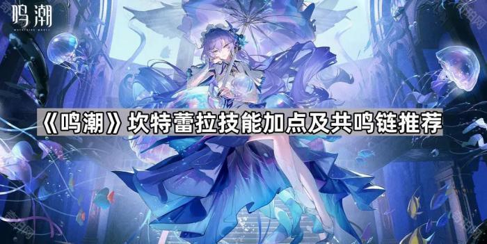 《鸣潮》坎特蕾拉技能加点及共鸣链推荐1
