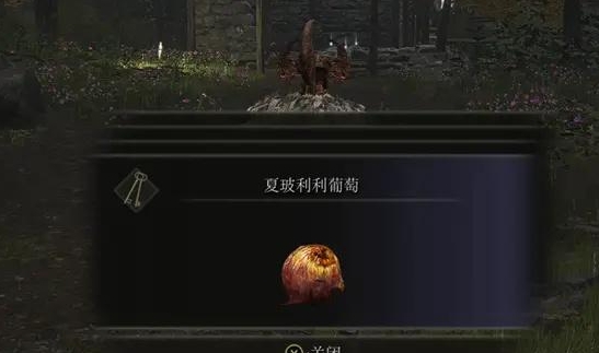 艾尔登法环全npc流程是什么2